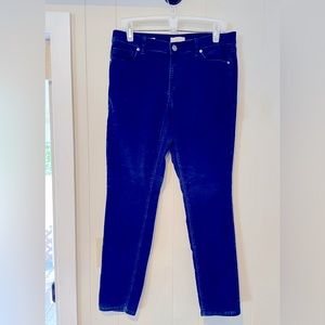 Loft Modern Skinny Woman’s Pants, Blue, Velvet, Size 10